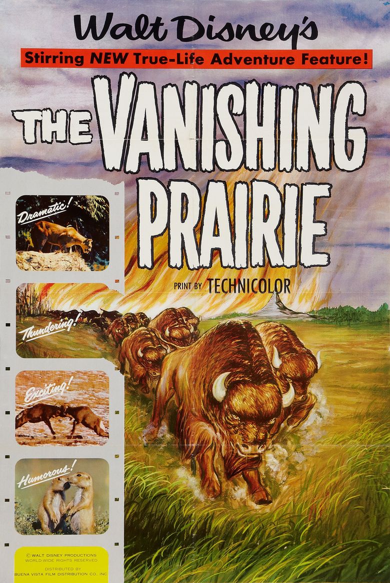 The Vanishing Prairie Poster