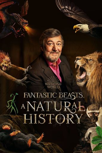 Fantastic Beasts: A Natural History Poster