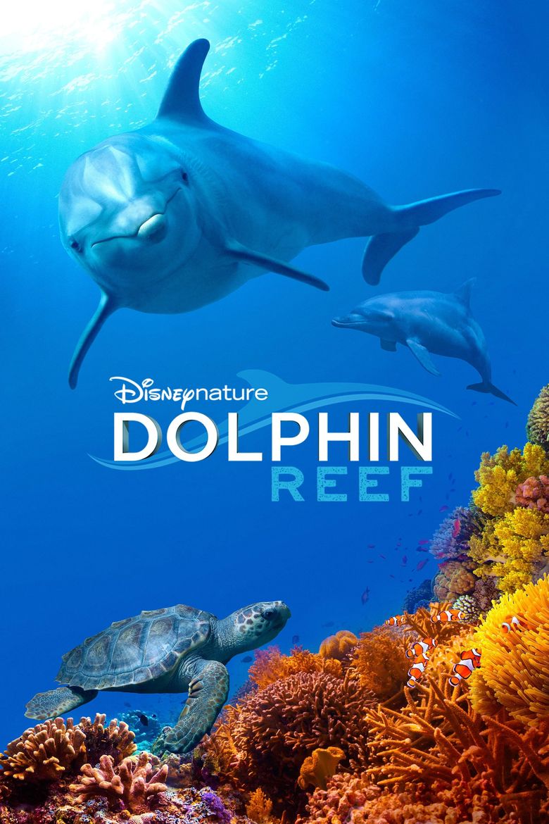 Dolphin Reef Poster