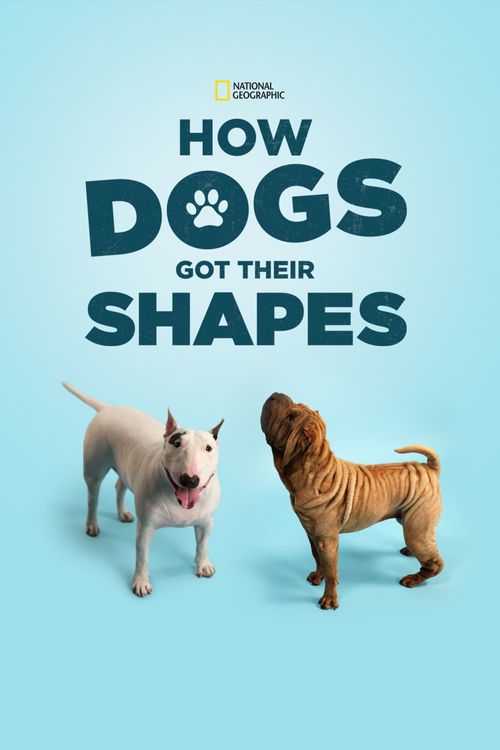 How Dogs Got Their Shapes Poster