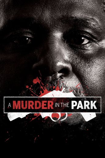  A Murder in the Park Poster