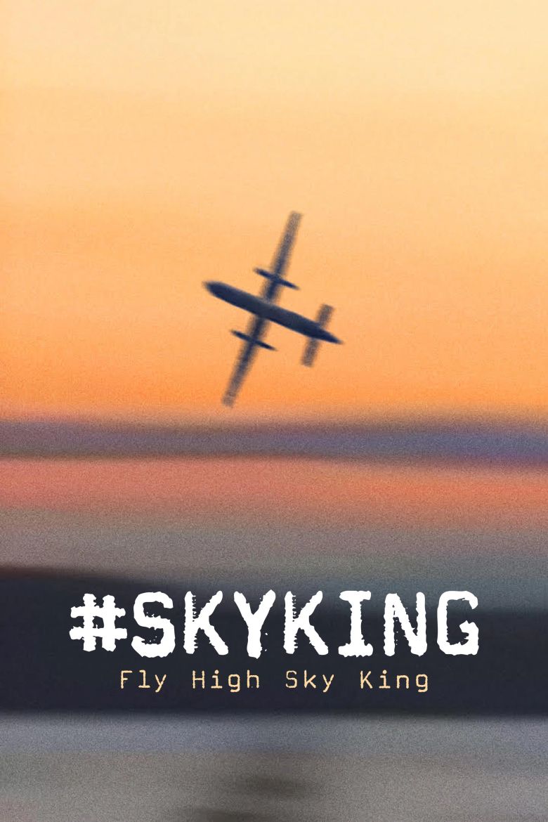 #Skyking