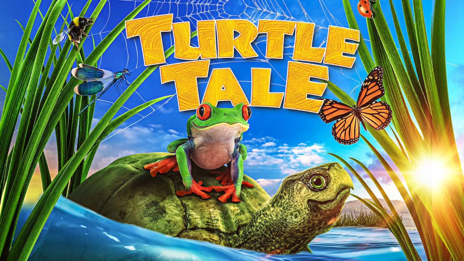 Turtle Tale (2015) - IMDb