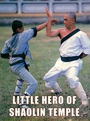  The Little Hero of Shaolin Temple Poster