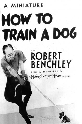  How to Train a Dog Poster