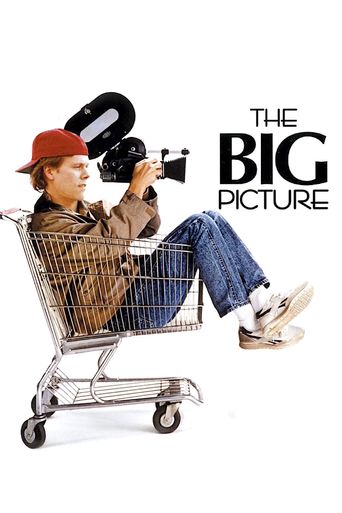  The Big Picture Poster