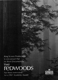  The Redwoods Poster