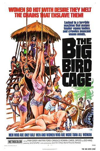  The Big Bird Cage Poster