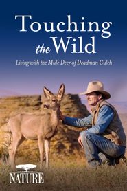  Nature: Touching the Wild: Living with the Mule Deer of Deadman Gulch Poster