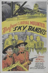  Sky Bandits Poster