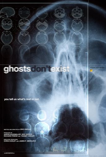  Ghosts Don't Exist Poster