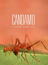  Candamo, la ultima selva sin hombres Poster