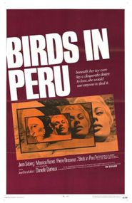  Birds in Peru Poster