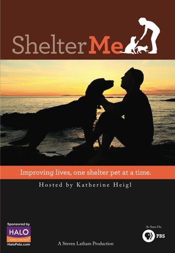  Shelter Me Poster
