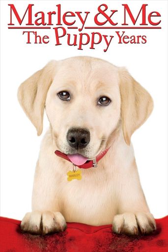  Marley and Me 2: Call Me Mrs Puppy Years Poster