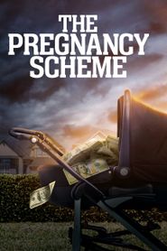  The Pregnancy Scheme Poster