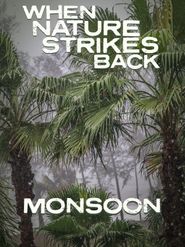  Monsoon: The Wind with Three Faces Poster