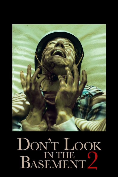 Don't Look in the Basement 2 Poster