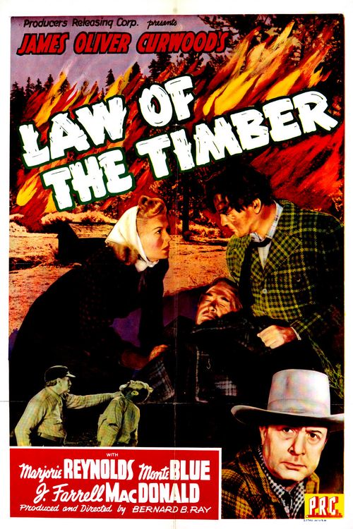 Law of the Timber Poster