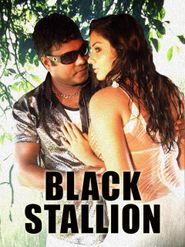  Black Stallion Poster