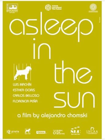  Asleep in the Sun Poster