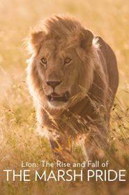  Lion: The Rise and Fall of the Marsh Pride Poster