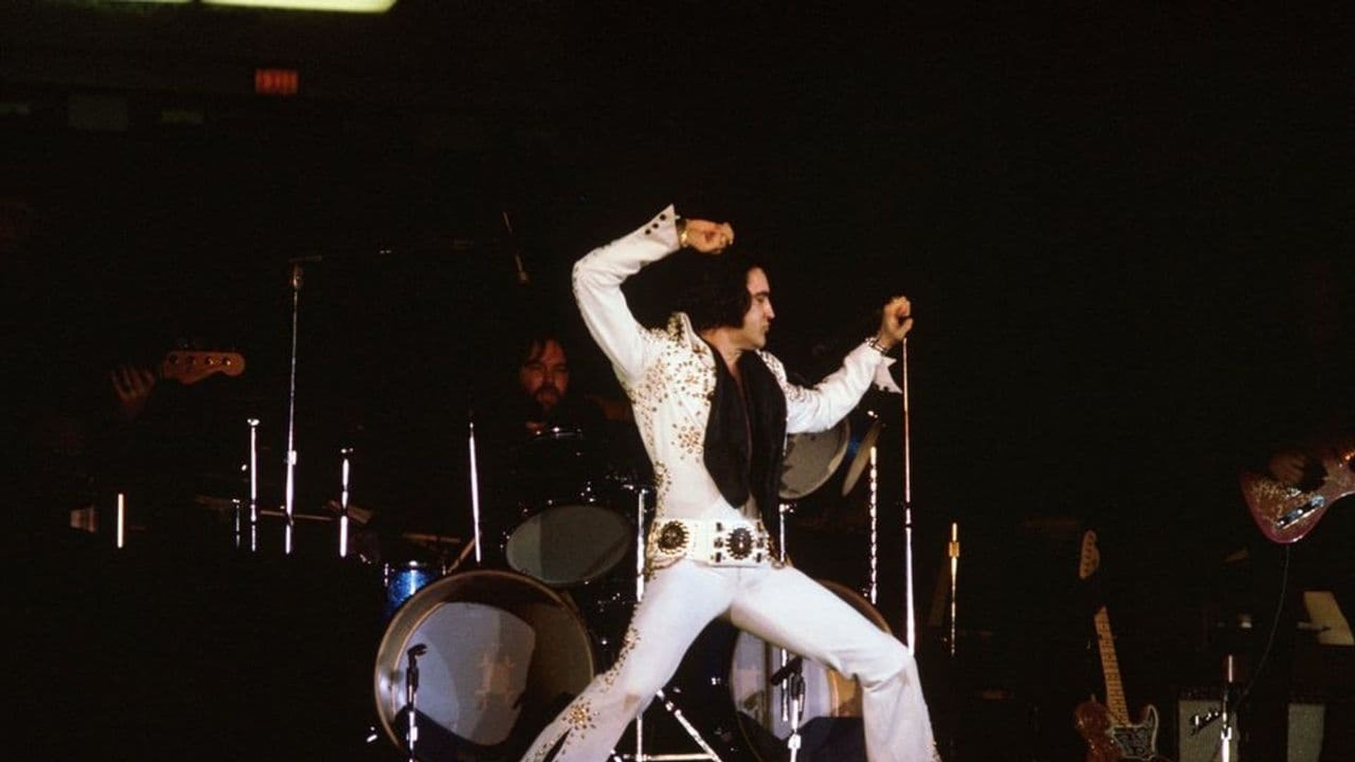 Elvis on Tour Backdrop