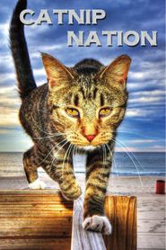 Catnip Nation Poster