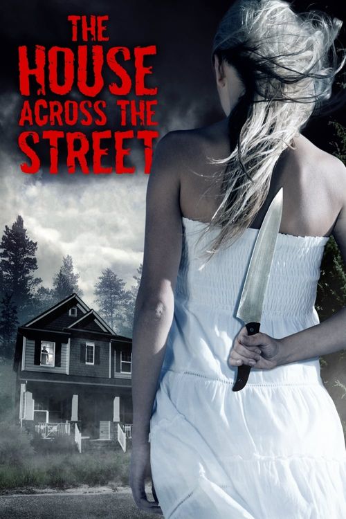 The House Across the Street Poster
