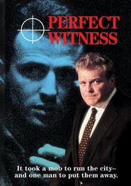  Perfect Witness Poster