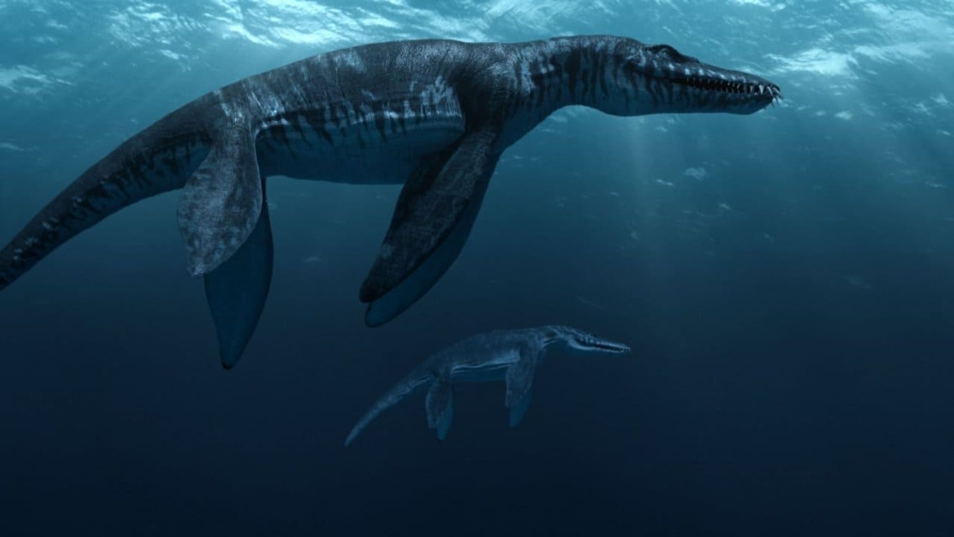 Sea Rex 3D: Journey to a Prehistoric World Backdrop