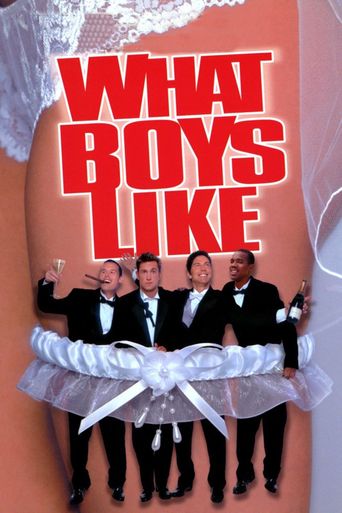  What Boys Like Poster