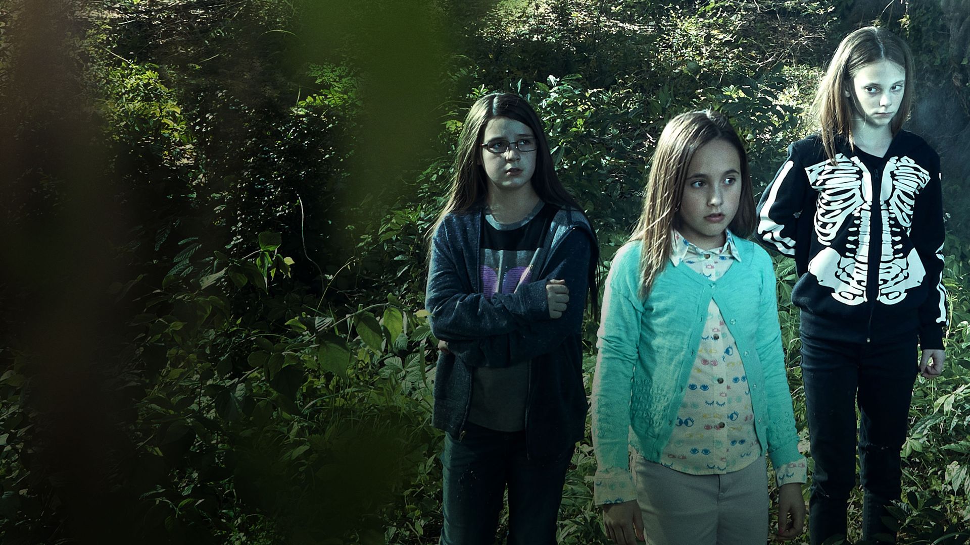 Terror in the Woods (2018): Where to Watch and Stream Online Reelgood Terror in the Woods (2018): Where to Watch and Stream Online Reelgood