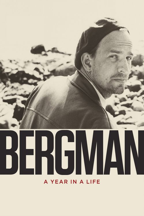 Bergman: A Year in a Life Poster