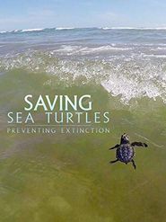  Saving Sea Turtles: Preventing Extinction Poster