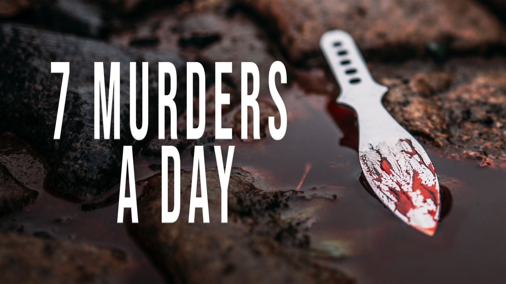7 Murders a Day Backdrop