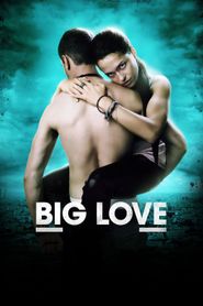  Big Love Poster