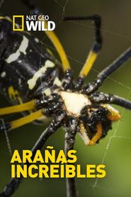  Incredible Spiders Poster