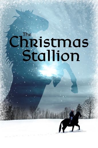  The Christmas Stallion Poster