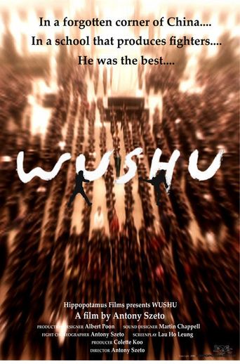  Wushu Poster