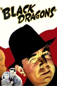  Black Dragons Poster