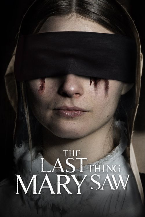 The Last Thing Mary Saw Poster
