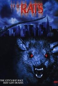  The Rats Poster