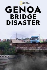  Why Bridges Collapse Poster