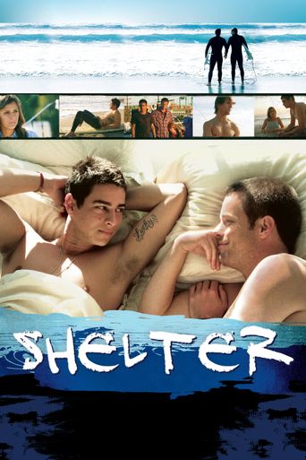  Shelter Poster