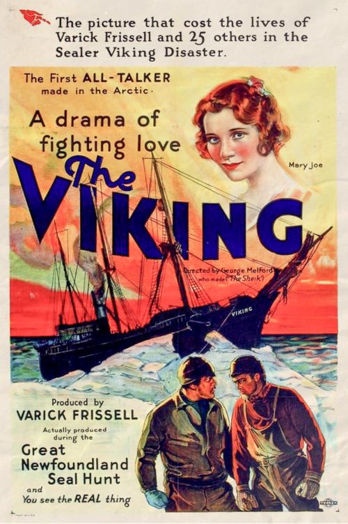 The Viking Poster