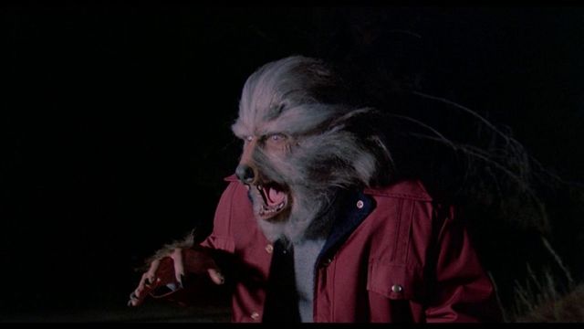 The Boy Who Cried Werewolf Backdrop