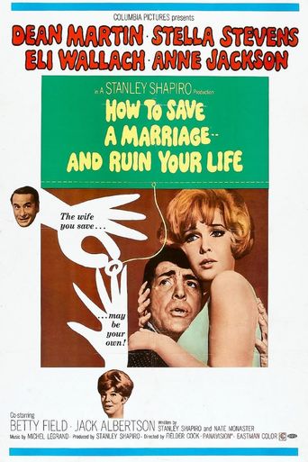  How to Save a Marriage and Ruin Your Life Poster