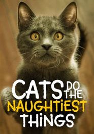  Cats Do the Naughtiest Things Poster