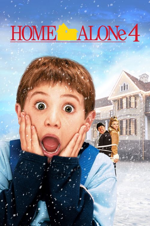 Home Alone 4: Taking Back the House Poster